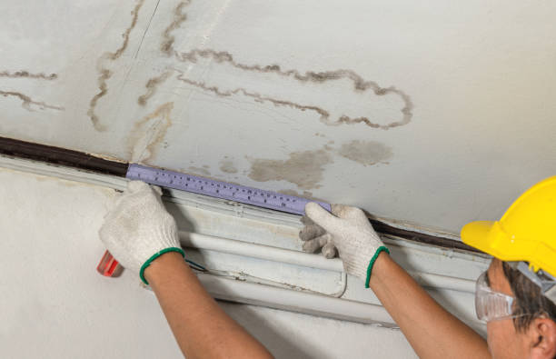Reliable Flood Cleanup contractor in Buffalo, ND by Water Damage Irwin